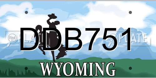 DDB751 Wyoming License Plate