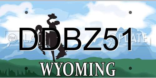 DDBZ51 Wyoming License Plate