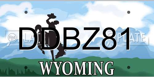 DDBZ81 Wyoming License Plate