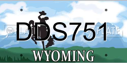 DDS751 Wyoming License Plate
