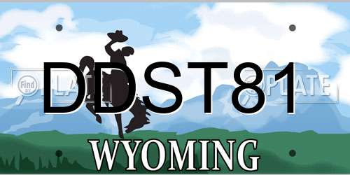 DDST81 Wyoming License Plate