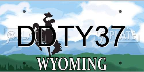 DDTY37 Wyoming License Plate