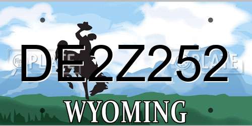 DE2Z252 Wyoming License Plate