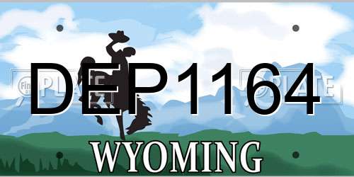 DEP1164 Wyoming License Plate