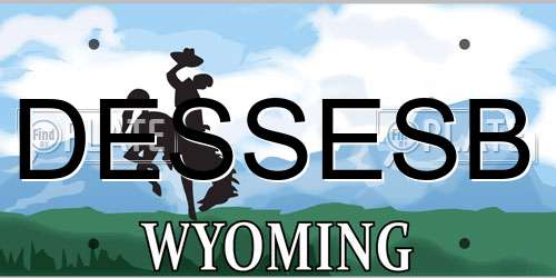 DESSESB Wyoming License Plate