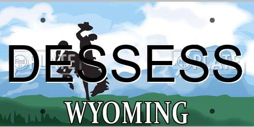 DESSESS Wyoming License Plate