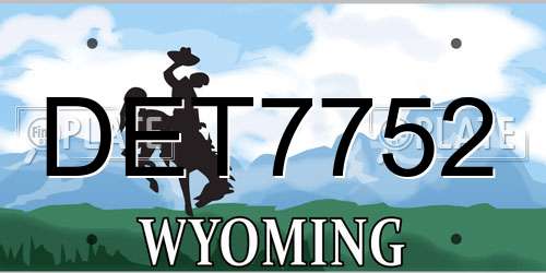 DET7752 Wyoming License Plate