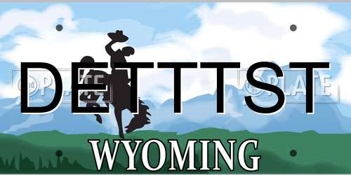 DETTTST Wyoming License Plate