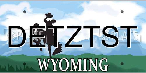 DETZTST Wyoming License Plate
