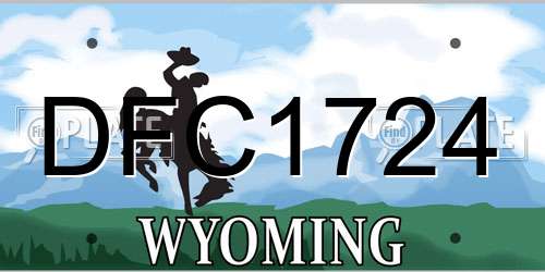 DFC1724 Wyoming License Plate