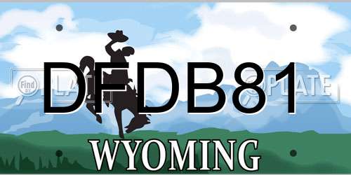 DFDB81 Wyoming License Plate
