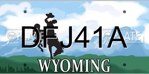 DFJ41A Wyoming License Plate