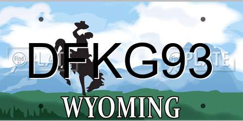 DFKG93 Wyoming License Plate