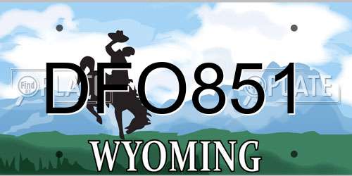 DFO851 Wyoming License Plate