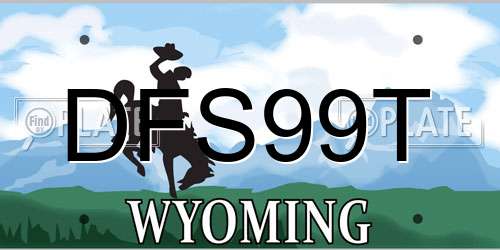 DFS99T Wyoming License Plate