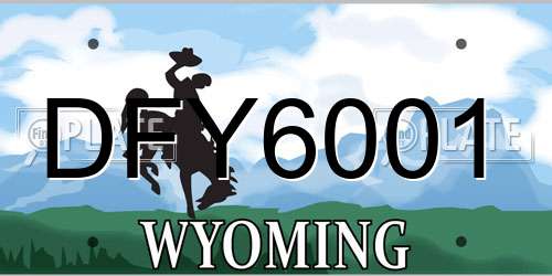 DFY6001 Wyoming License Plate