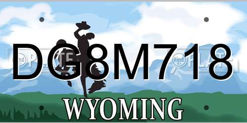 DG8M718 Wyoming License Plate