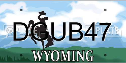 DGUB47 Wyoming License Plate