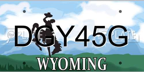 DGY45G Wyoming License Plate