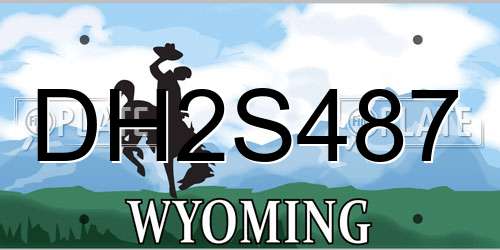 DH2S487 Wyoming License Plate