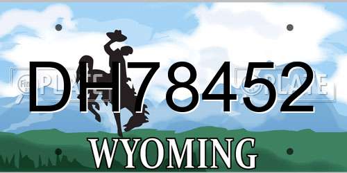 DH78452 Wyoming License Plate