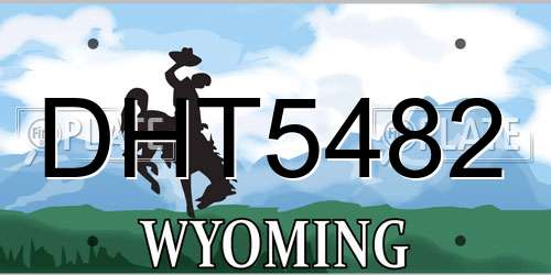 DHT5482 Wyoming License Plate