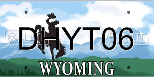 DHYT06 Wyoming License Plate