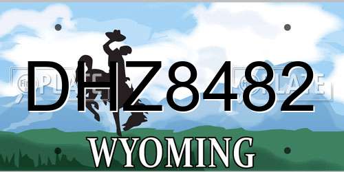 DHZ8482 Wyoming License Plate