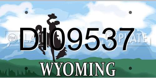 DI09537 Wyoming License Plate