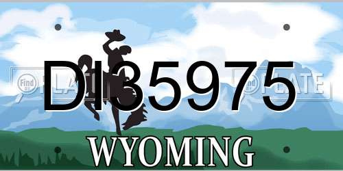 DI35975 Wyoming License Plate