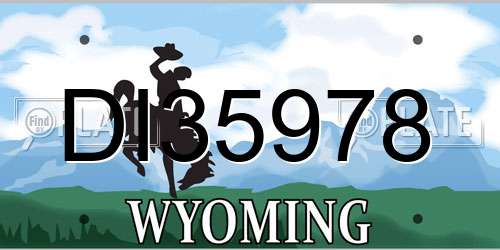 DI35978 Wyoming License Plate