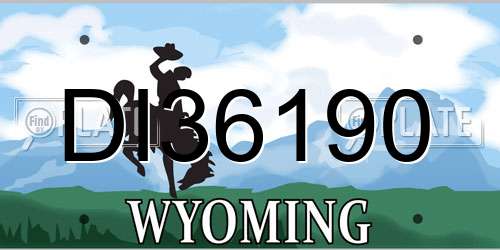 DI36190 Wyoming License Plate