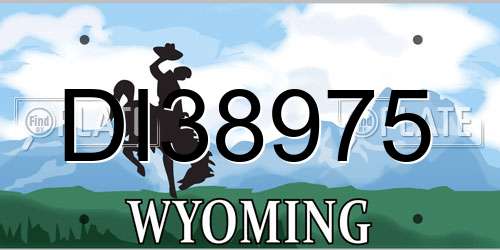 DI38975 Wyoming License Plate