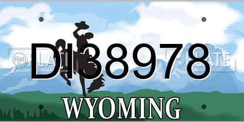 DI38978 Wyoming License Plate