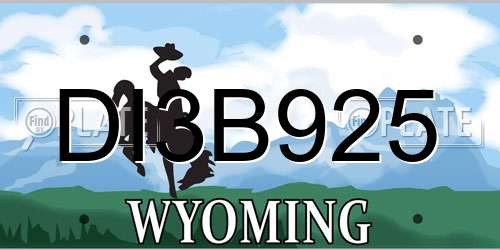 DI3B925 Wyoming License Plate