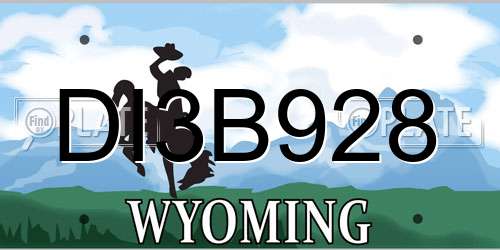 DI3B928 Wyoming License Plate