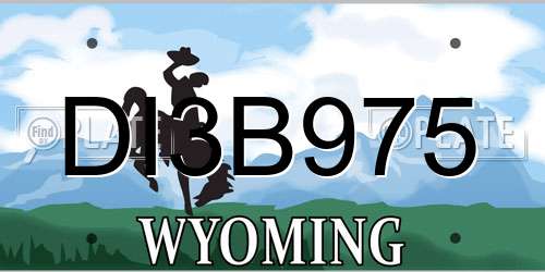 DI3B975 Wyoming License Plate