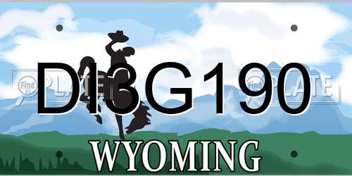 DI3G190 Wyoming License Plate