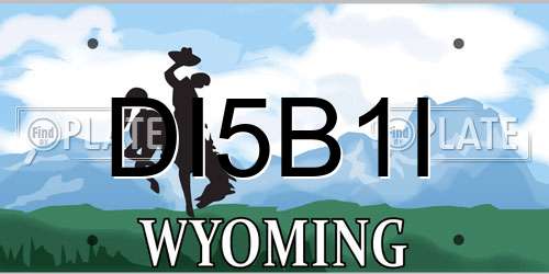 DI5B1I Wyoming License Plate