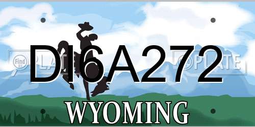 DI6A272 Wyoming License Plate