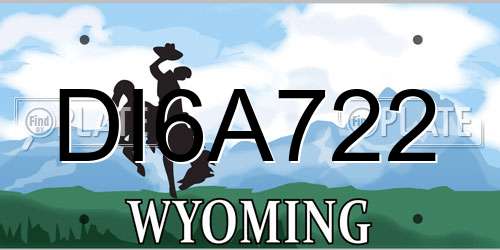 DI6A722 Wyoming License Plate