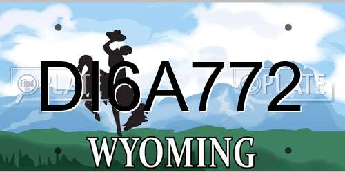 DI6A772 Wyoming License Plate