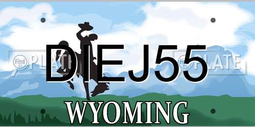 DIEJ55 Wyoming License Plate