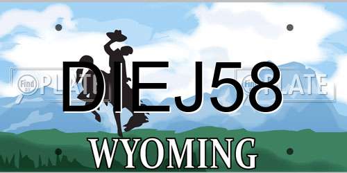 DIEJ58 Wyoming License Plate