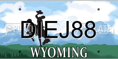 DIEJ88 Wyoming License Plate