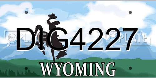 DIG4227 Wyoming License Plate
