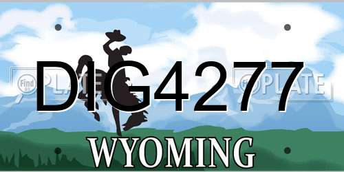 DIG4277 Wyoming License Plate