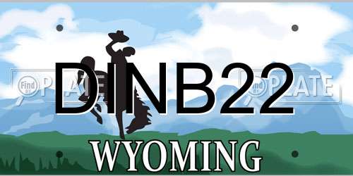 DINB22 Wyoming License Plate