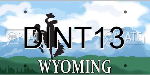 DINT13 Wyoming License Plate