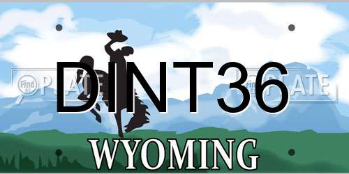DINT36 Wyoming License Plate